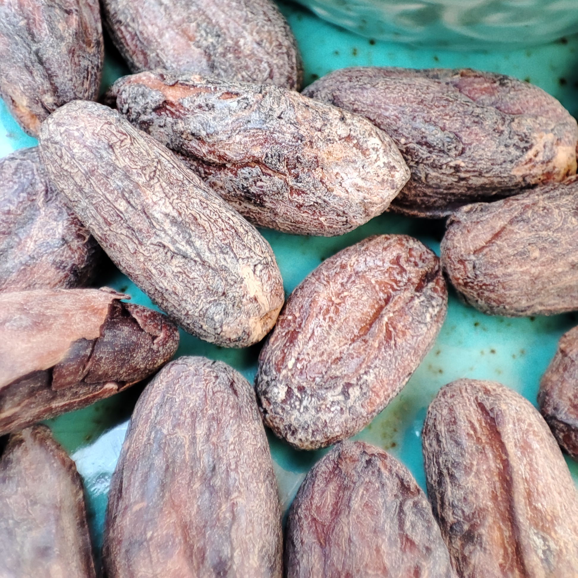 Pralinen CACAO Kurs FR 5.12.2025 | 16:00 Uhr (AUSGEBUCHT) 