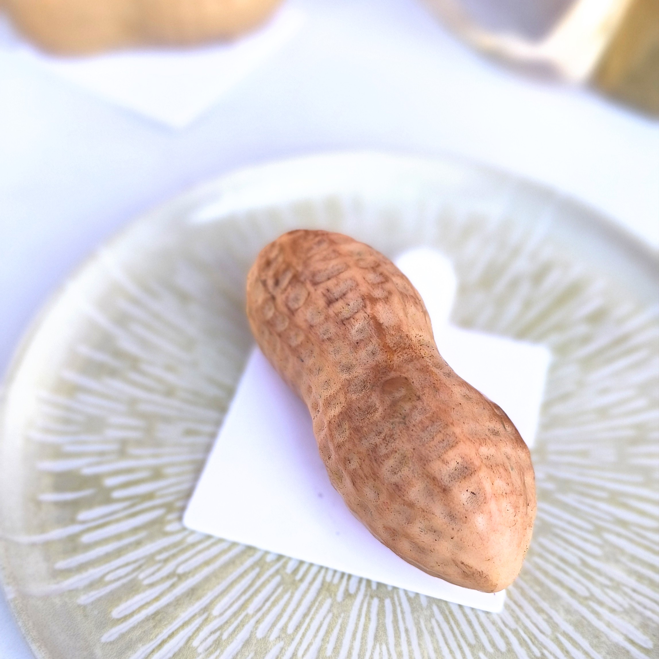 L'arachide Erdnuss | Aprikose